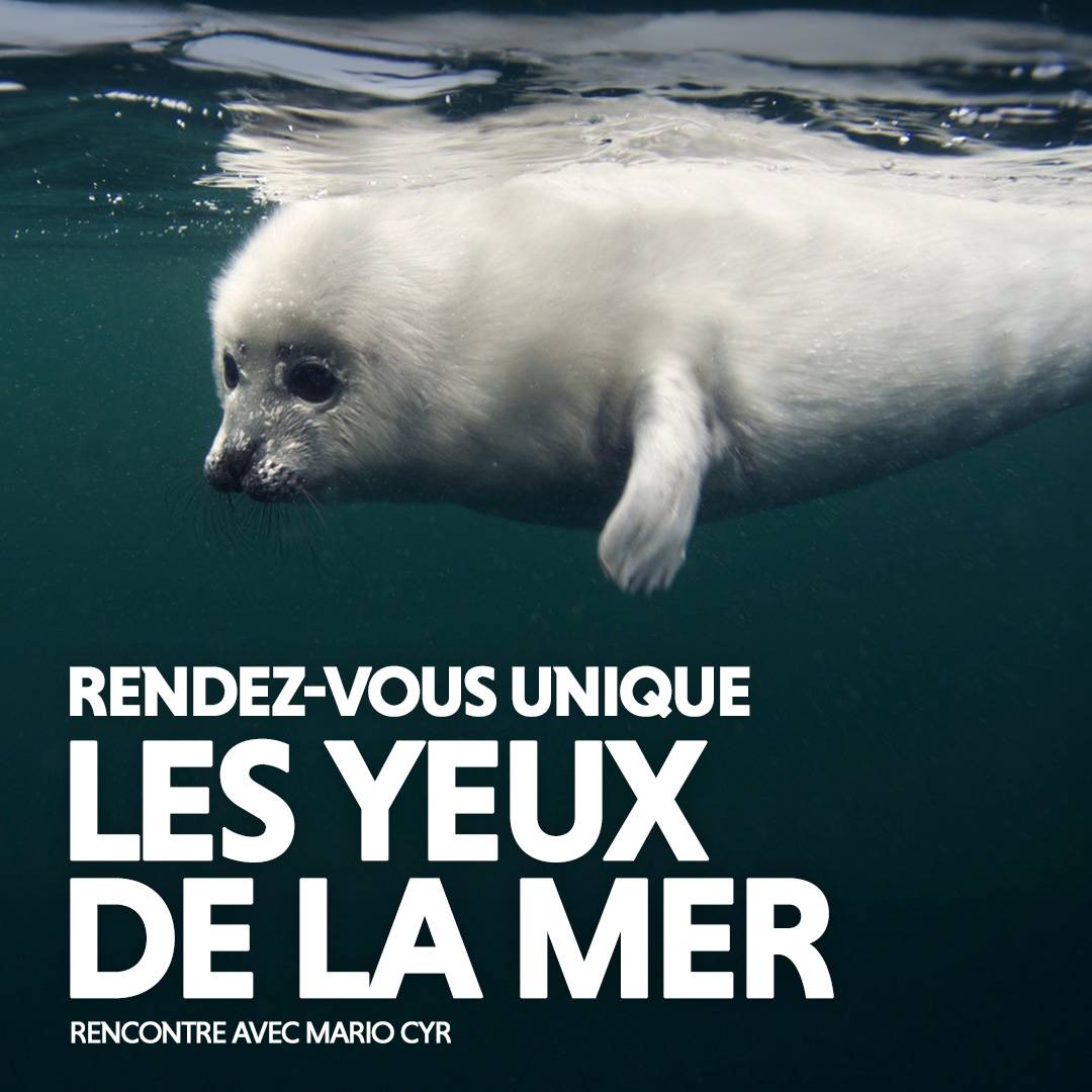 Hors-série - Les yeux de la mer