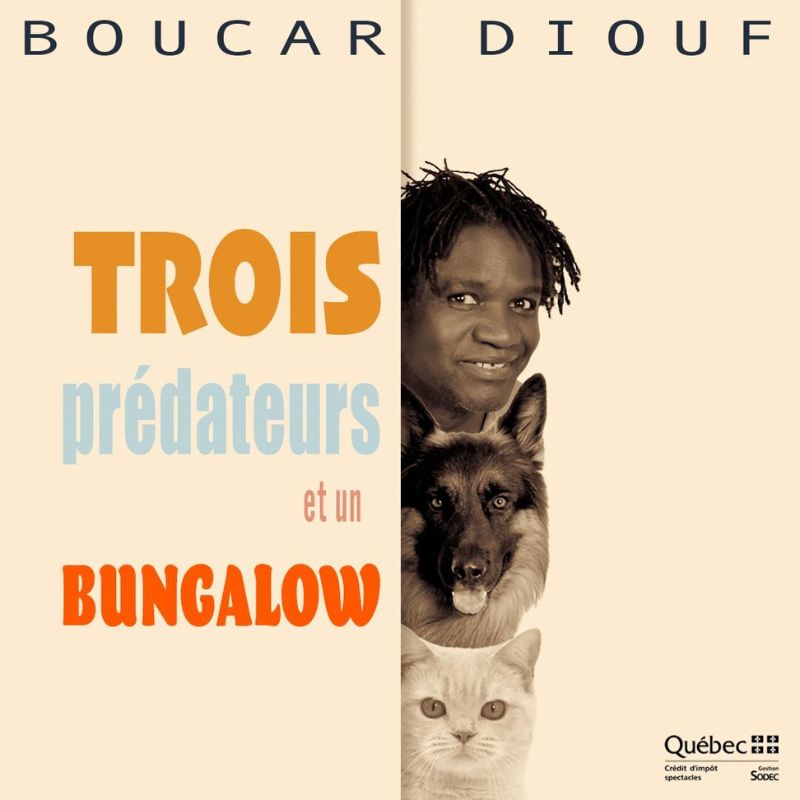 Boucar Diouf – Trois prédateurs et un bungalow
