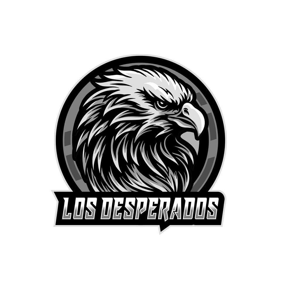 Avec Los Desperados | Hommage à The Eagles à Rosemère