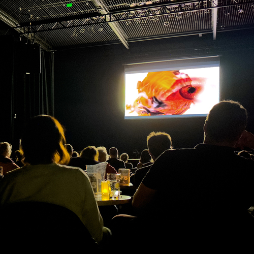 Soirée KINO VICTO