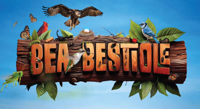 Béa Bestiole 3 : Les maîtres du ciel