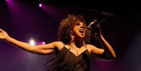Sylvie Desgroseillers - Hommage à Tina Turner