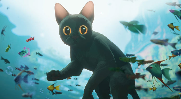 Flow, le chat qui n’avait plus peur de l’eau